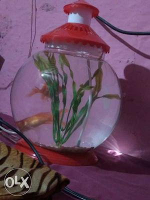 Only fish bowl bhechna Hai new Hai