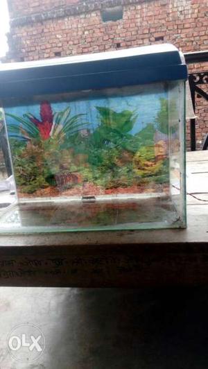 Only tank 6months old in very good condition