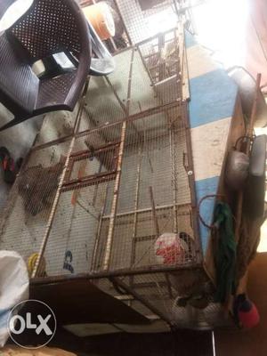 Rectangular Large Brown Metal Pet Cage