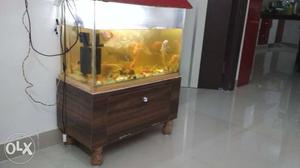 Running condition in fish aquarium for Sale in