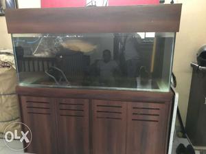 Tank size 5ft*2ft. selling only tank wid fish.