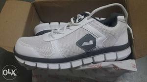 Brand new box pack Sports Shoes.