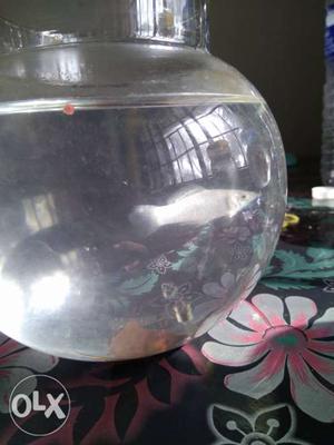 Fish Bowls For Sale. Large, Medium and Small.