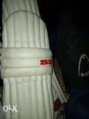 Good cricket kit ss pad ss gloves right hand DSC