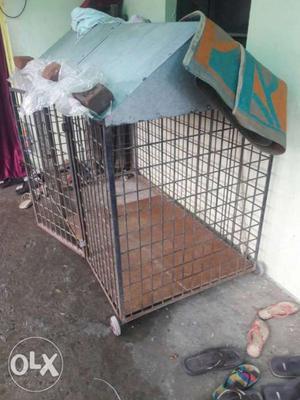 Heavy iron dog cage for sale urgently size 4×6
