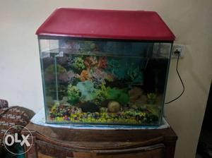 2.5 ft aquarium with filter fish stones