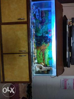 3 feet tank with wooden cover and wallpaper