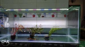 3ft X 1 5 ft X 14 inches height new tank... 10mm thickness