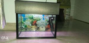 8"×15" fish tank for sell with filter and light