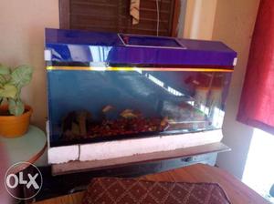 Aquarium for sale in running condition