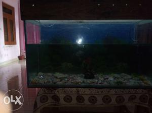 Aquarium in good condition with all accessories with fish