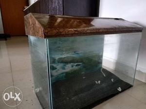 Aquarium with roof without sand, the hinges need