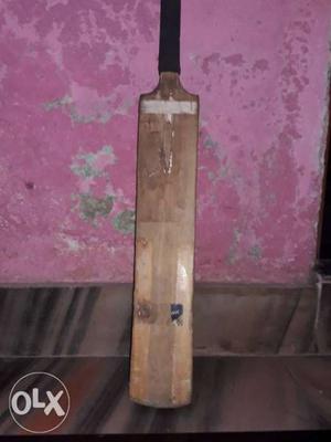 BDM cricket leathear bat