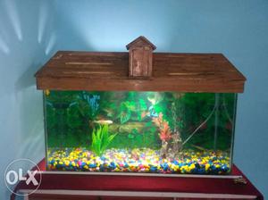 Better condition aquarium with air pump and