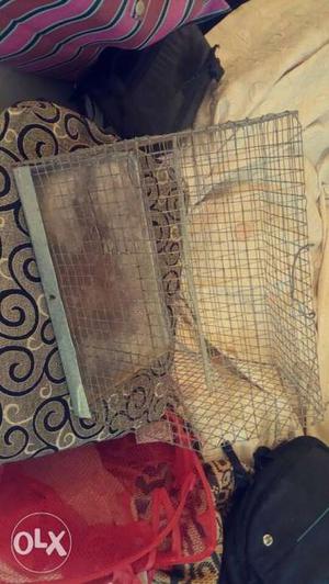 Bird Cage for sale 600/- only. Near Dhayari pune
