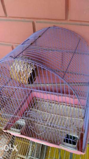 Bird cage for immediate sale.