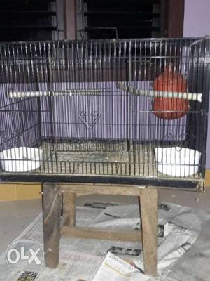 Bird cage with mud pot for sale