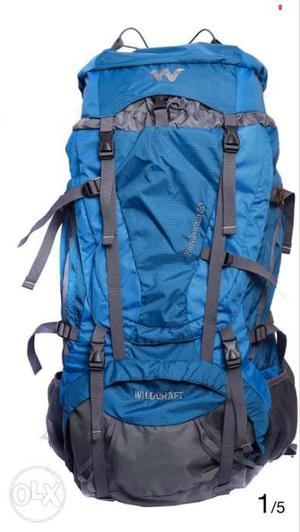 Blue And Gray Camping Backpack