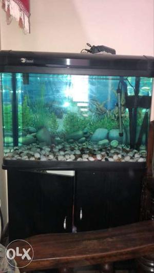 Brand new fish tank six month old not in use