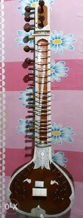 Brown And White Sitar
