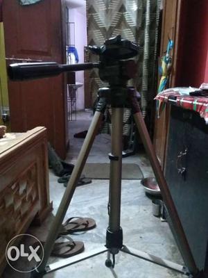 Camera stand