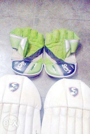 Cricket wicket keeper glous and wicket keeper pad
