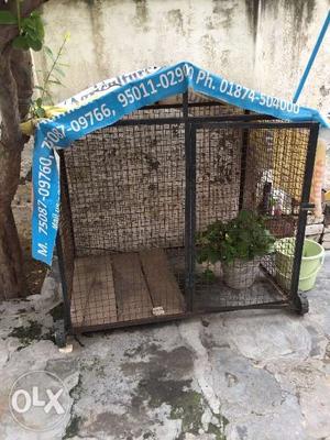 Dog house for sale 6*4 da only 7 month old