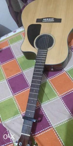 Fender C60 Acoustic Guitar For Sale