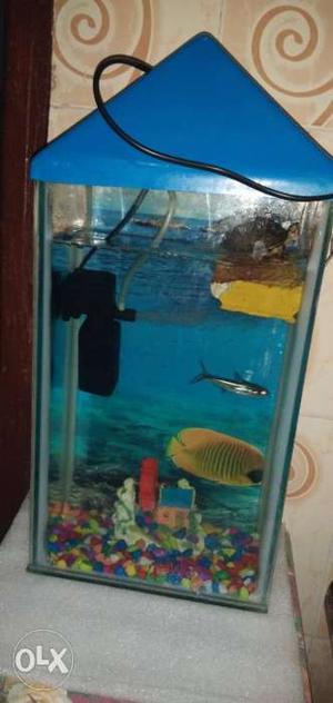 Fish Aquarium,with fish, fish food, water filter,