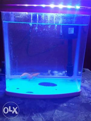 Fish Tank New