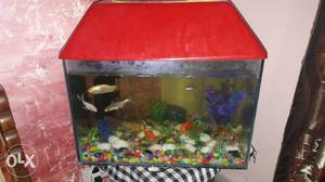 Fish Tank with Top cover only