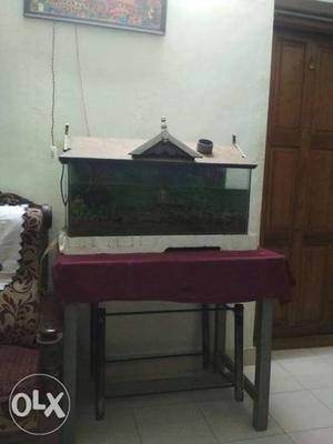 Fish acquirium&top