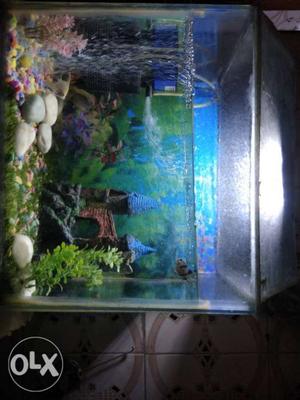 Fish aquarium and 10 fish water filter oxijan