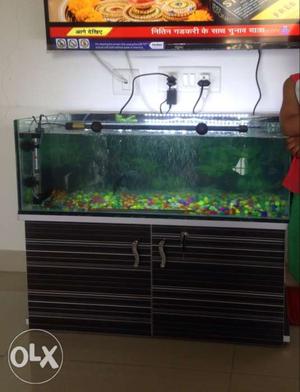 Fish tank, LEd Tube, Filter, motor,wallpaper,
