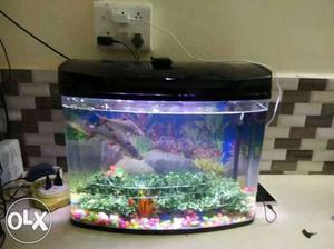 Fish tank new only 1 month 8 fish total tank with
