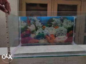 Fish tank of 2units and one cap, with very good