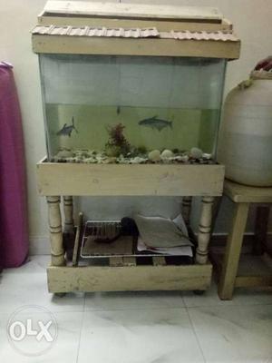 Fish tank with 2 shark fish