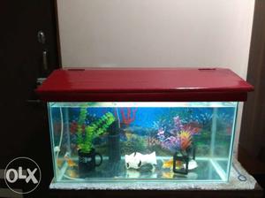 Fish tank with wooden cover