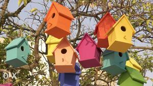 Florescent colours mat finish bird house