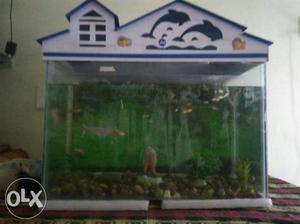 Good condition 25inch fish tank with top