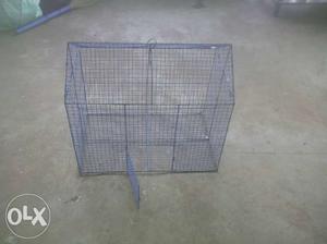 Gril Blue cage