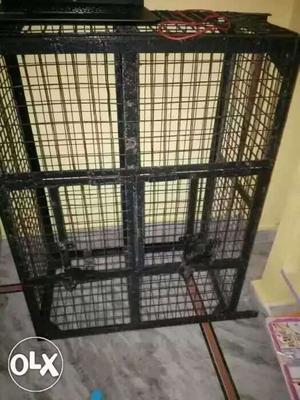 Hens cage 5feets length Height 4.5 feet Double