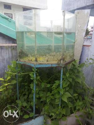 Hexagonal aquarium with iron stand