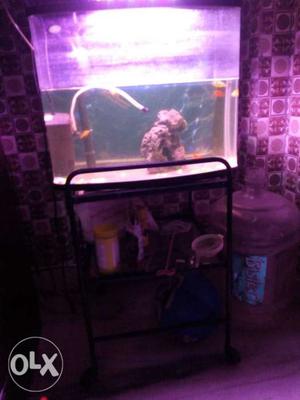 Imported aquarium with filter, light, stand etc.