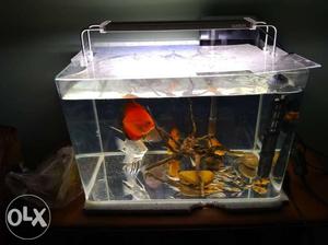 Mini imported aquarium tank sunsun led light hang