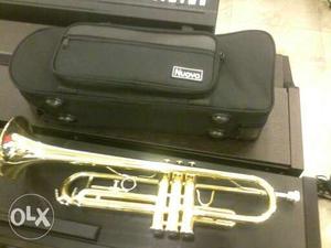 Music Tutor(Violin, saxophone, trumpet, trombone)