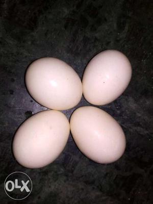 Original Gawrani hen Eggs. Rs. 180/ Dozen