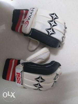 Pair of cricket batting gloves