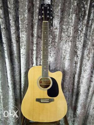 Pluto brand 41 size roundcutaway acoustic new one