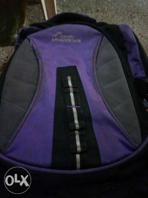 Purple And Gray Camel Backpack
